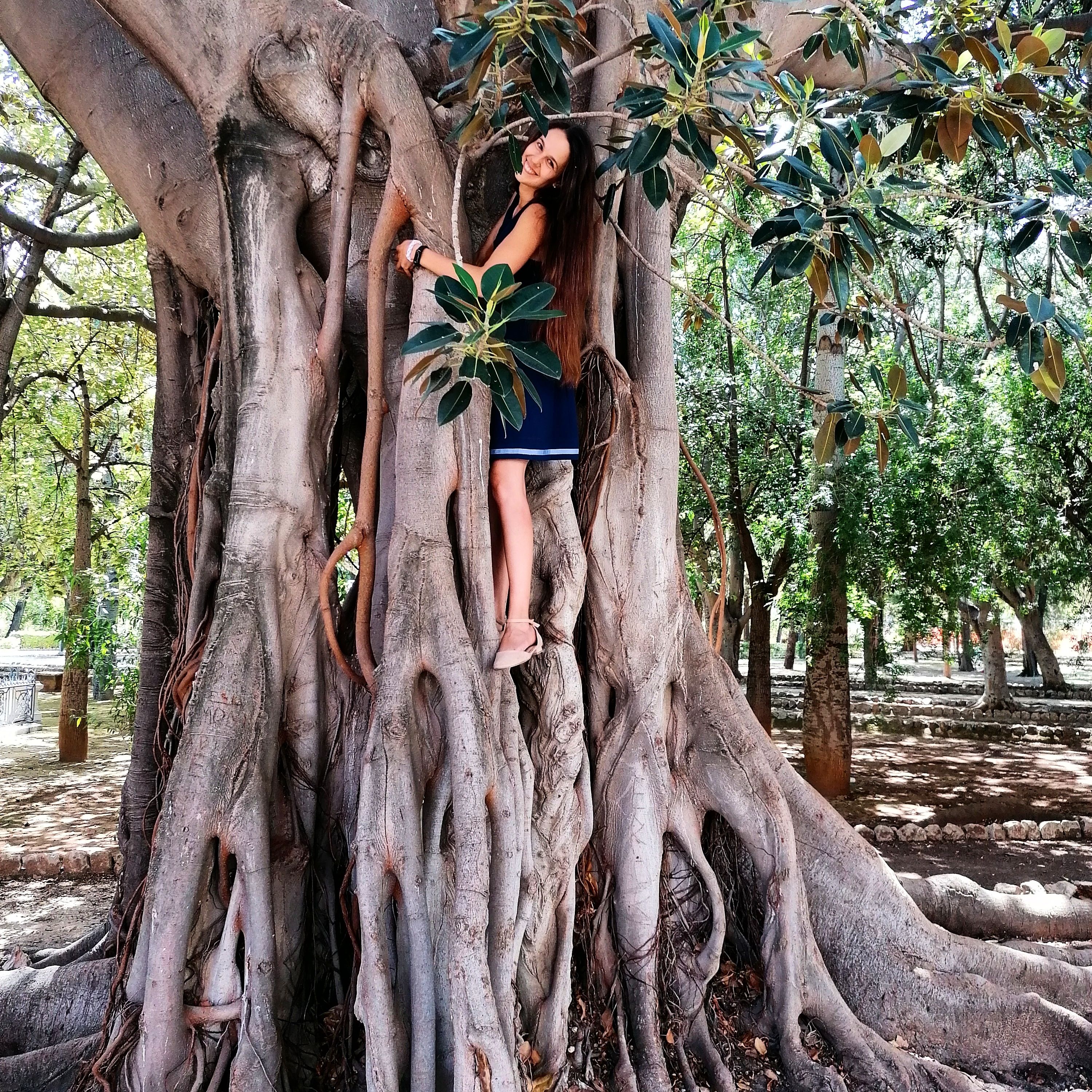 Immagine diapositiva