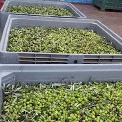 Immagine diapositiva