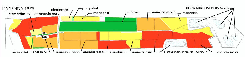 Immagine della diapositiva
