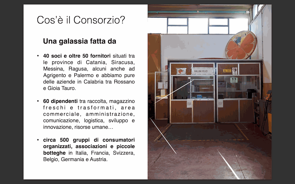 Immagine diapositiva