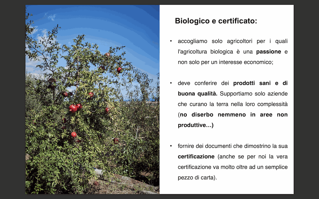 Immagine diapositiva