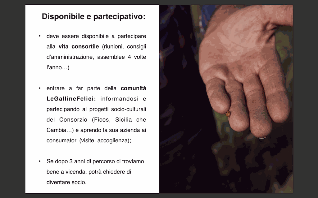 Immagine diapositiva