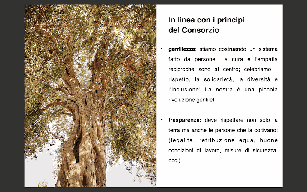 Immagine diapositiva