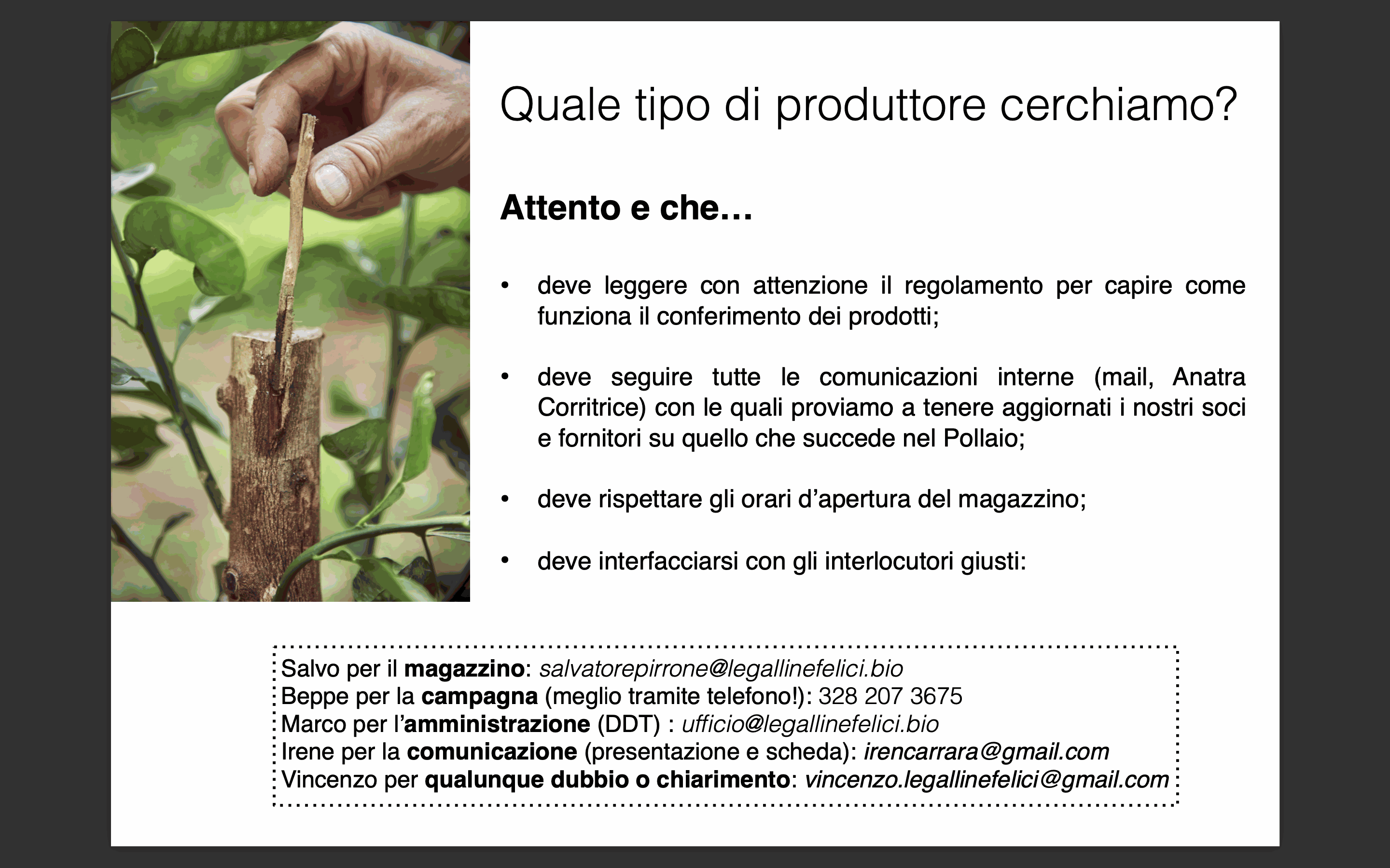 Immagine diapositiva