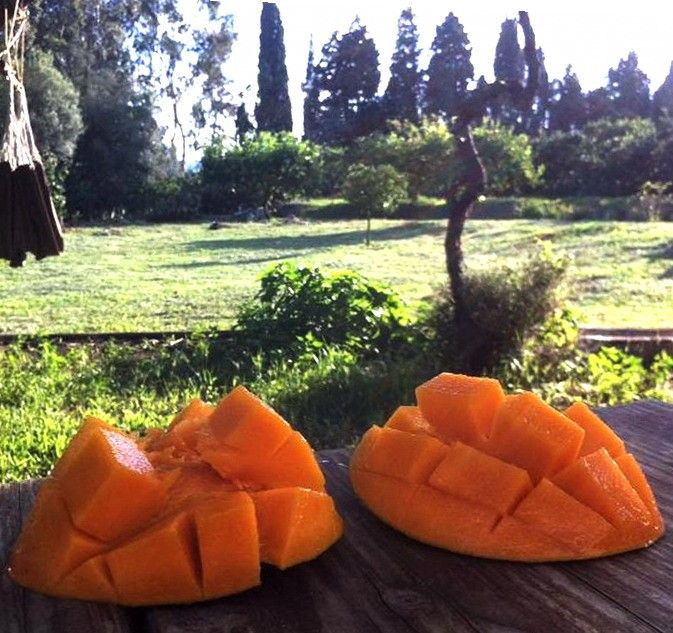 Immagine diapositiva