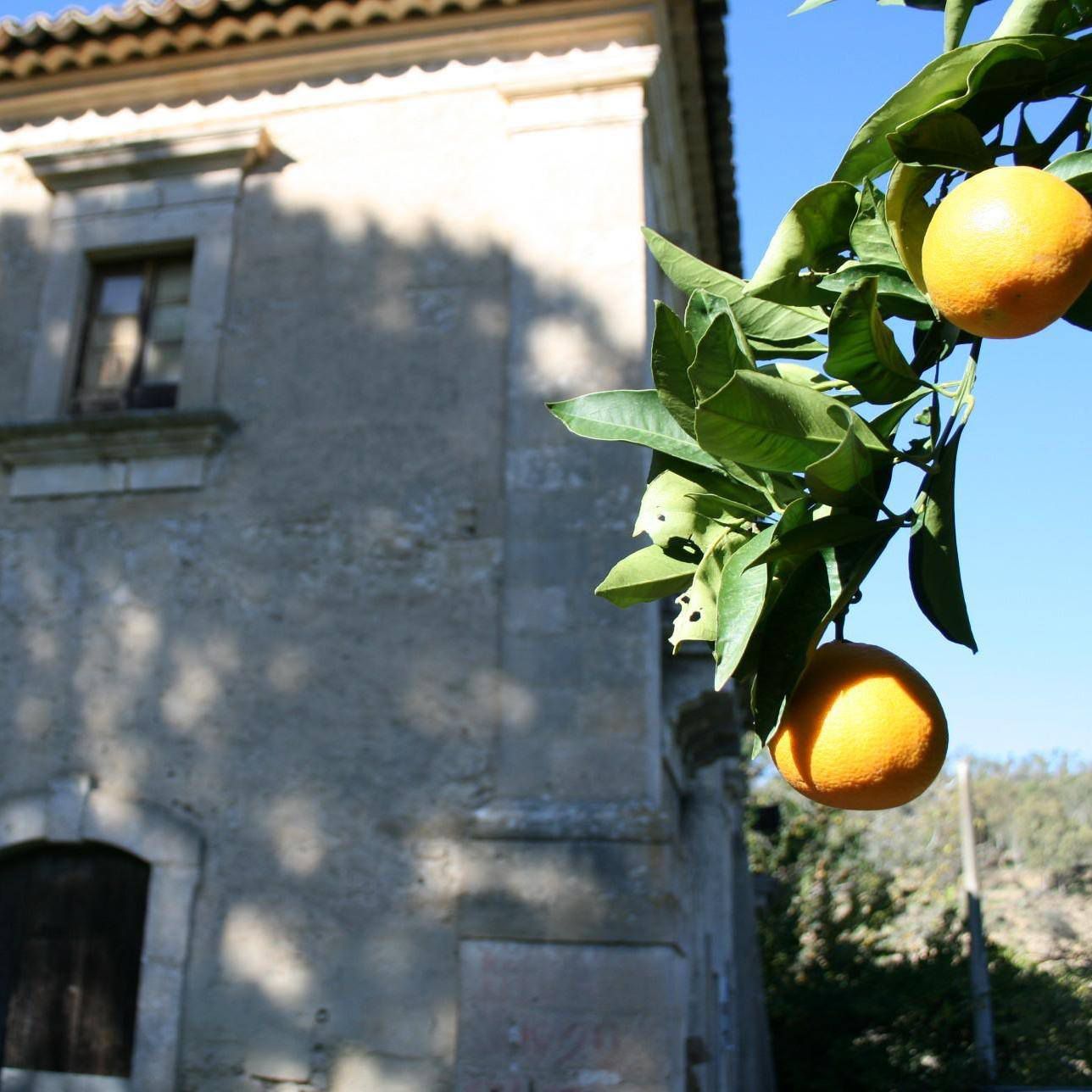Immagine diapositiva