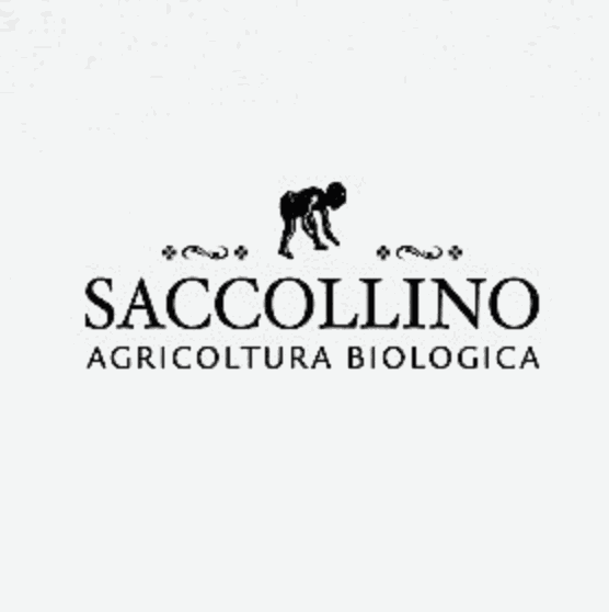Odoo • Testo e immagine