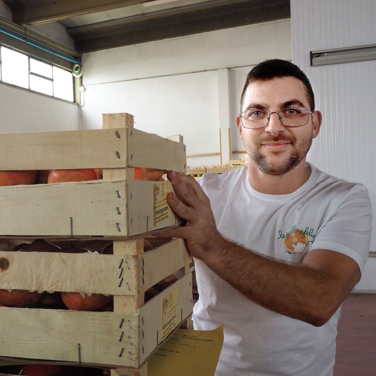 Odoo • Testo e immagine