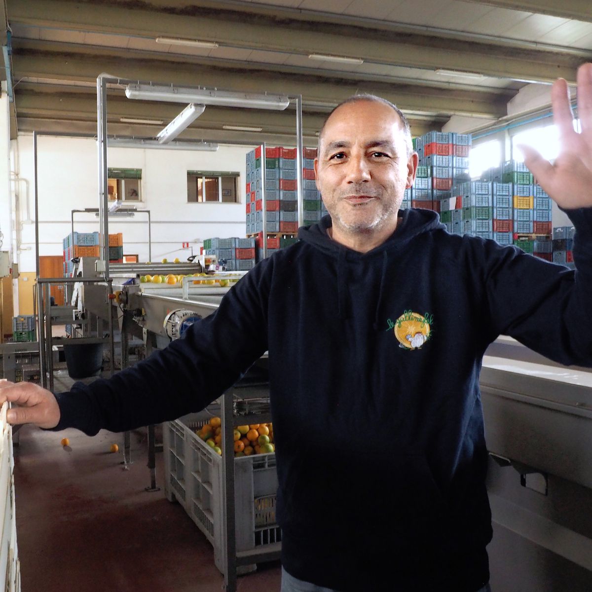 Odoo • Testo e immagine