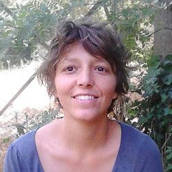 Odoo • Testo e immagine