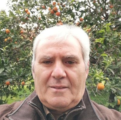 Odoo • Immagine e testo