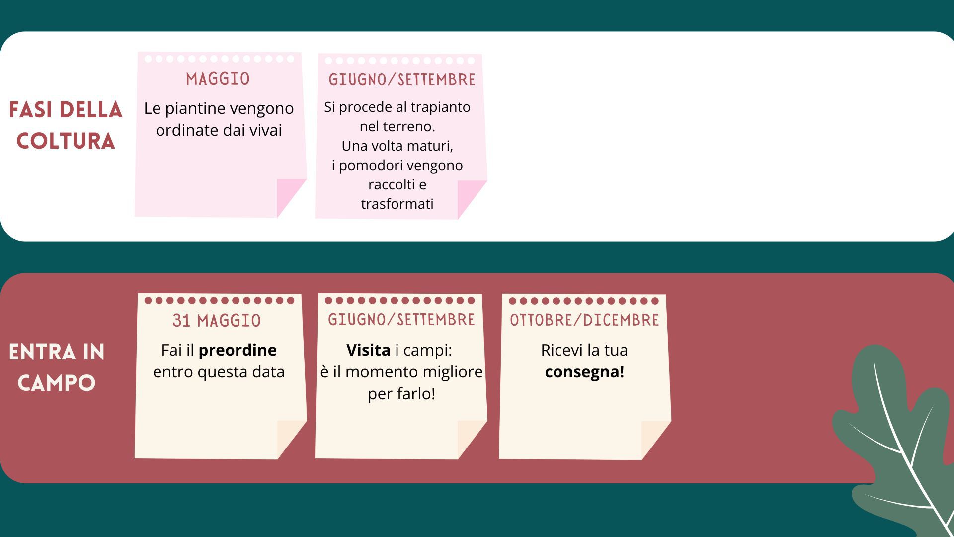 Immagine diapositiva