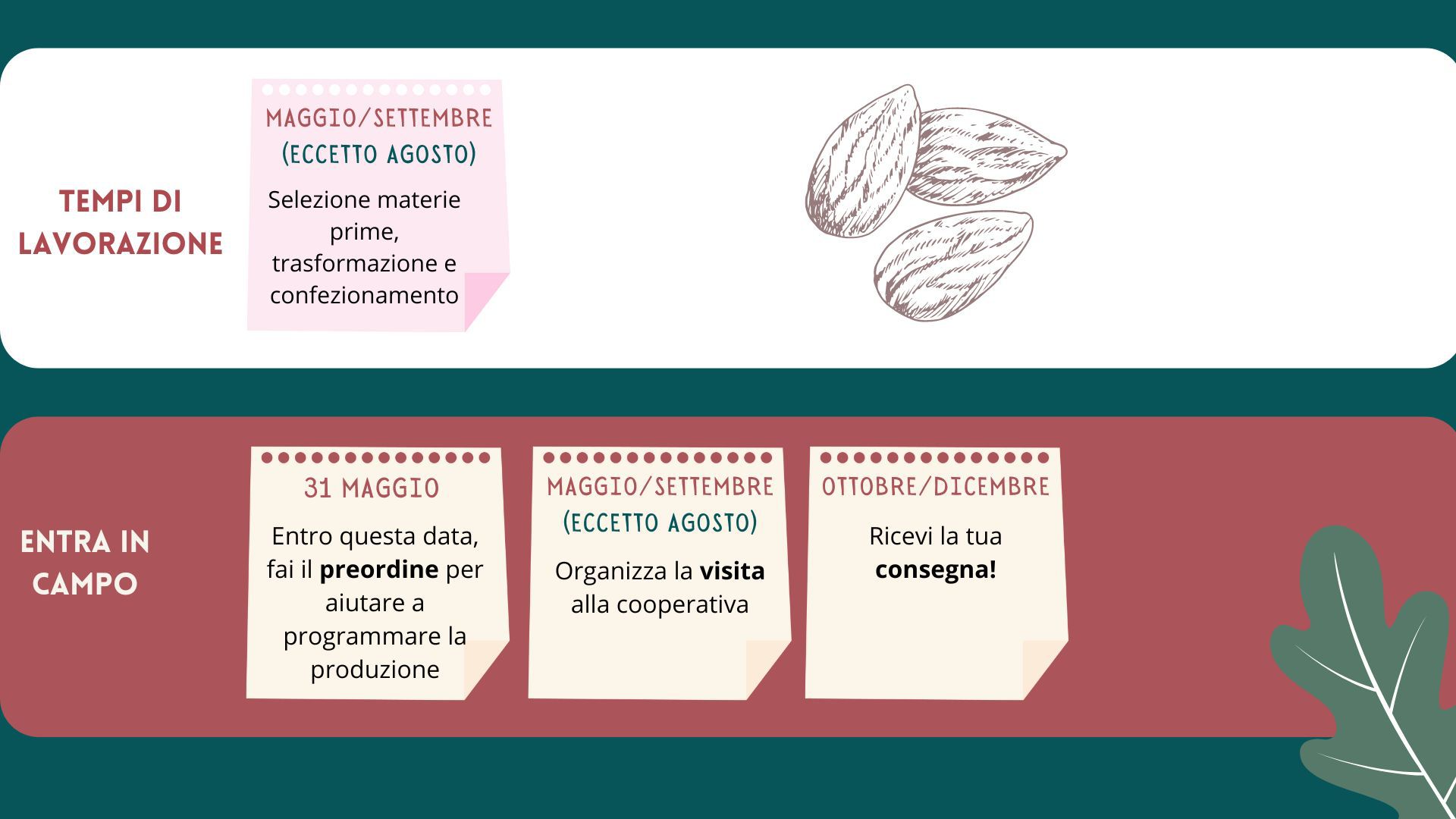 Immagine diapositiva