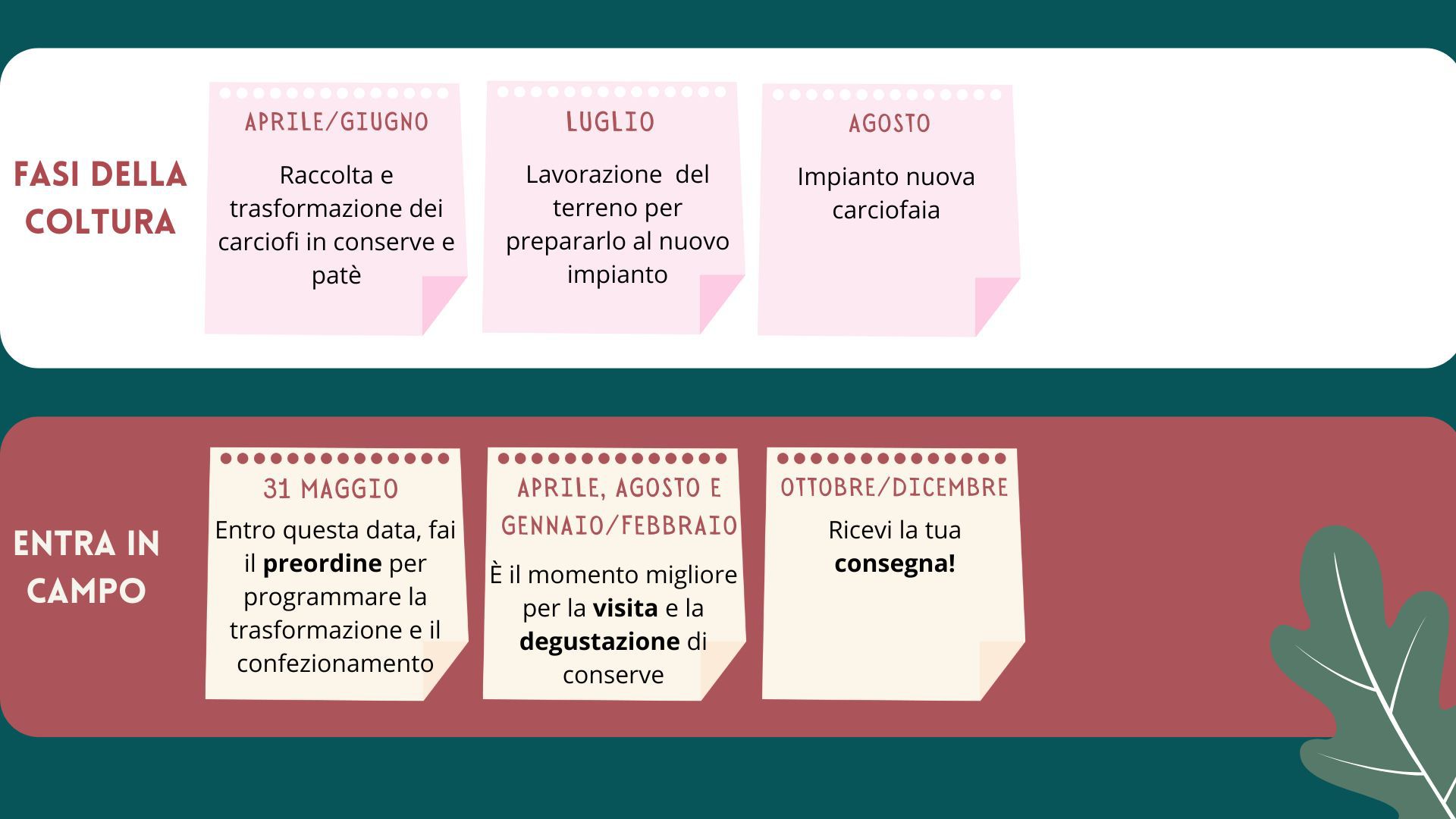 Immagine diapositiva