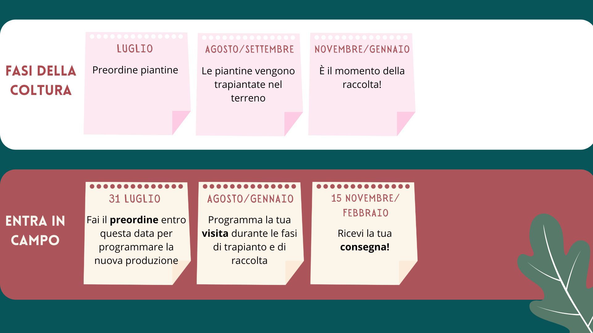 Immagine diapositiva