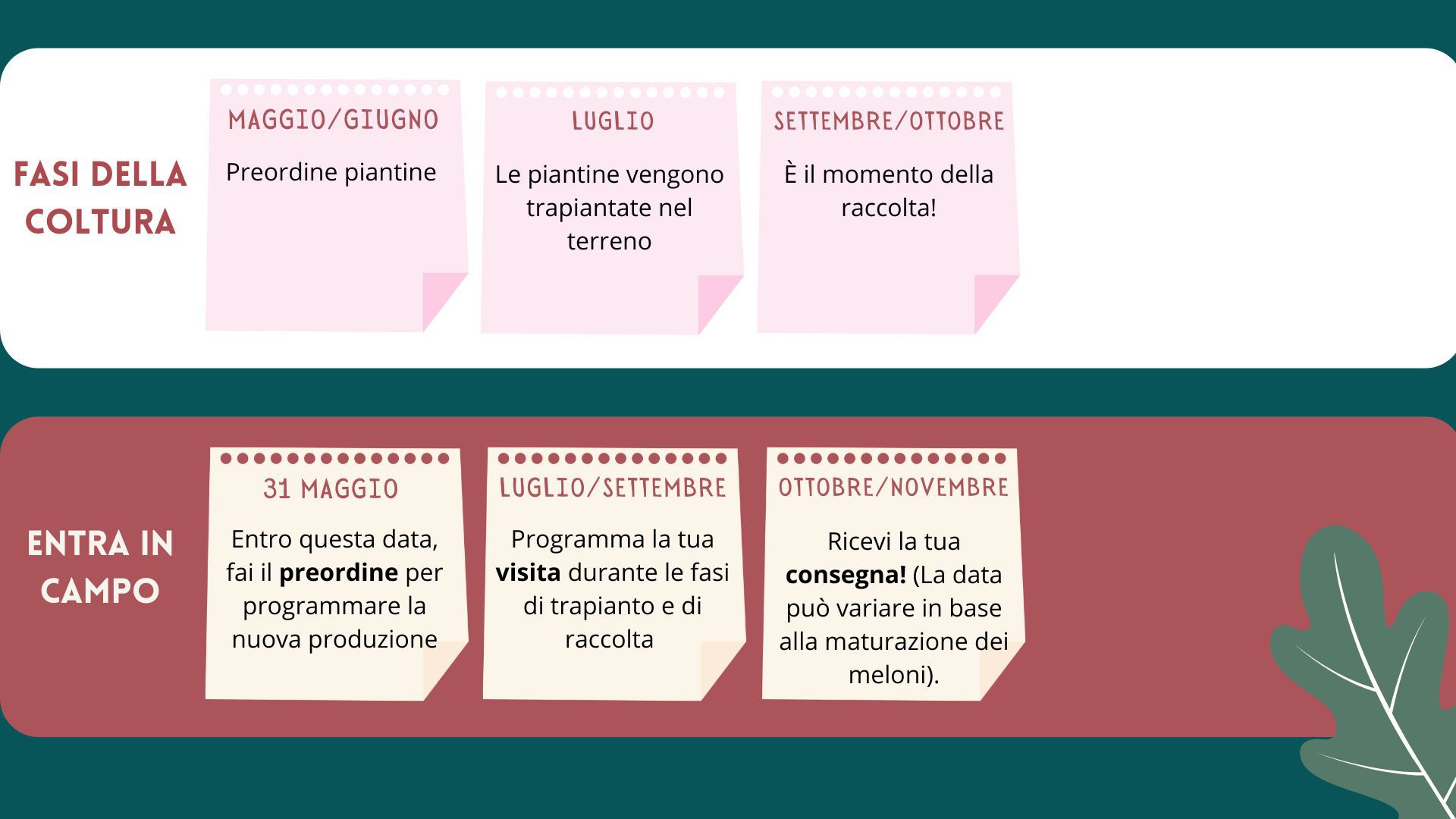 Immagine diapositiva