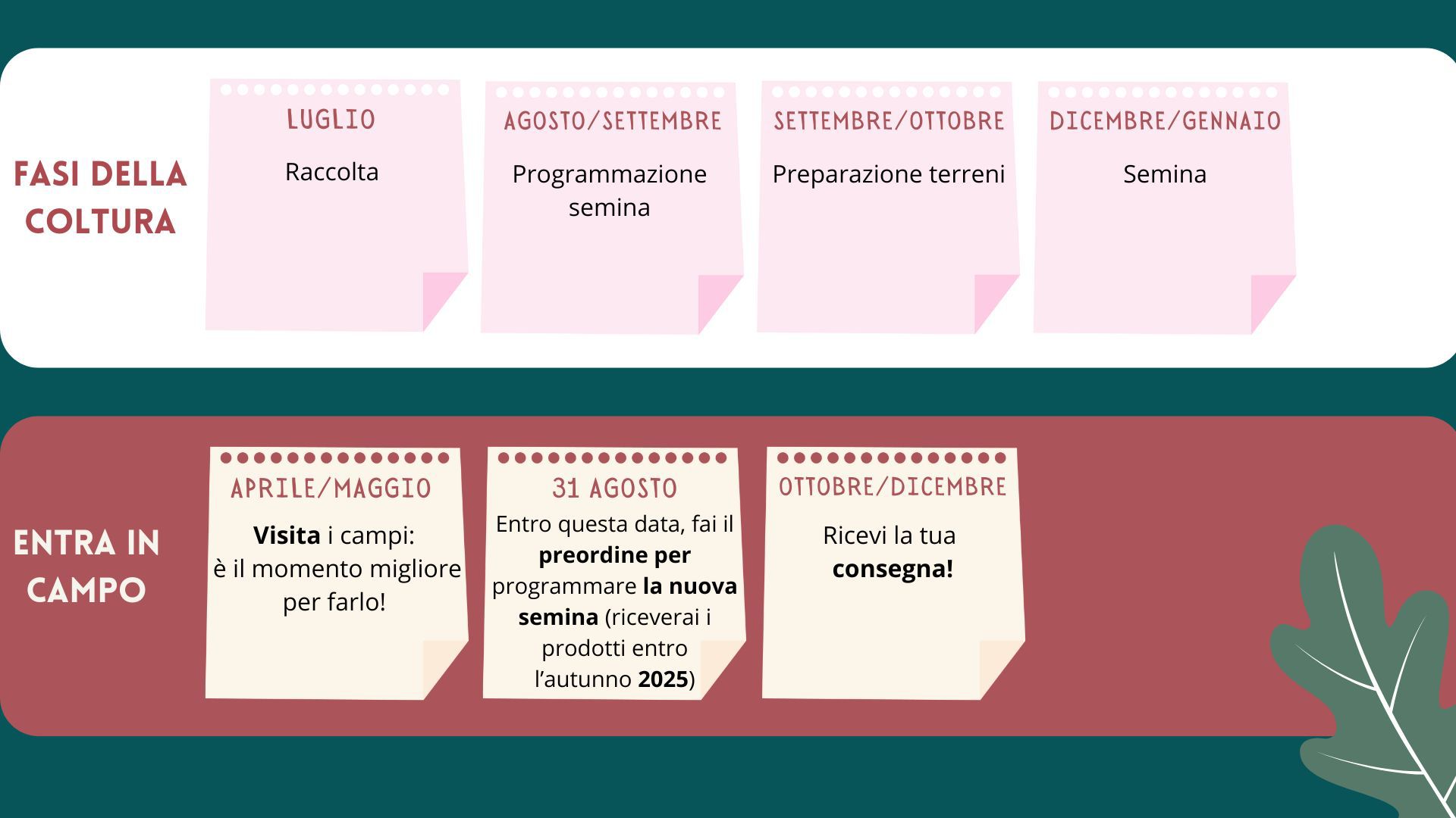 Immagine diapositiva