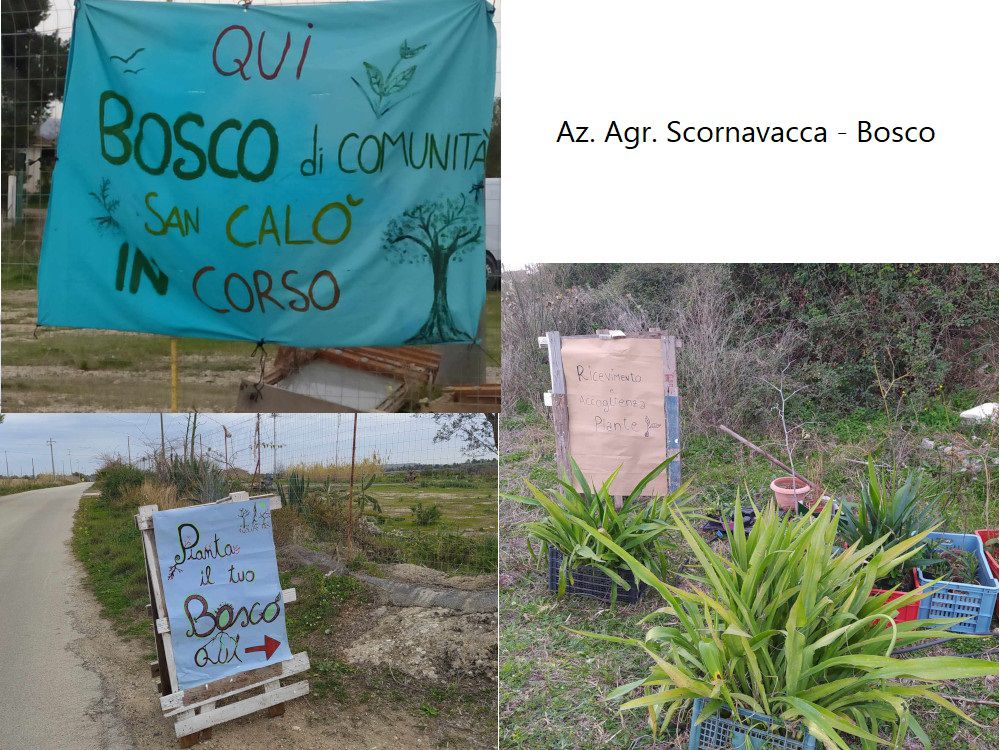Immagine diapositiva