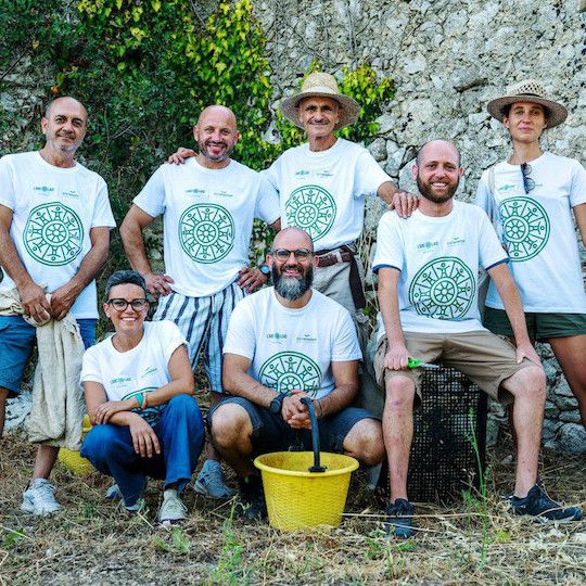 Odoo • Immagine e testo