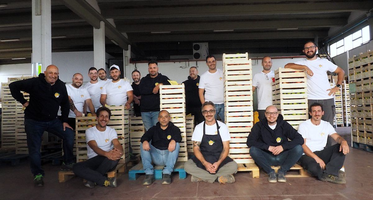 Odoo • Immagine e testo