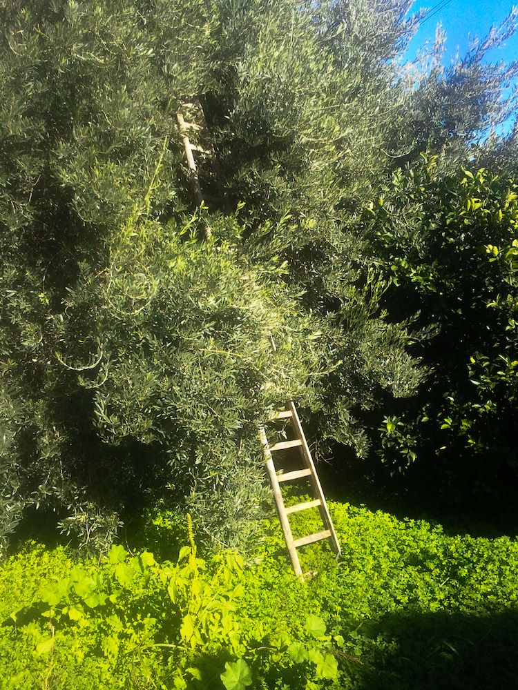 Immagine diapositiva