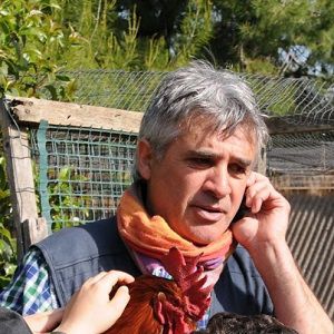 Odoo • Immagine e testo