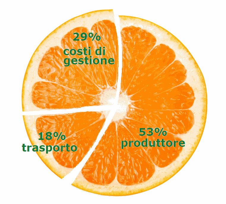 Odoo • Testo e immagine