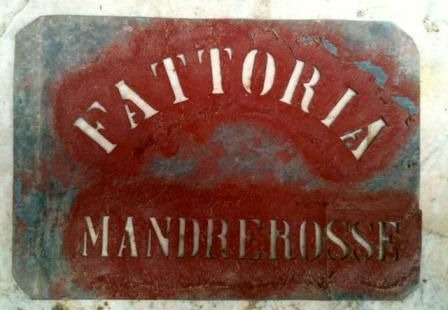 Odoo • Testo e immagine