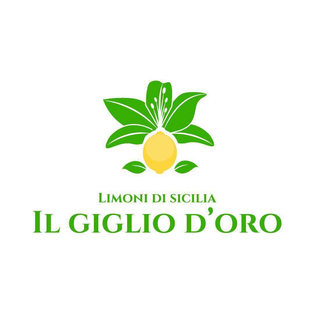 Immagine diapositiva