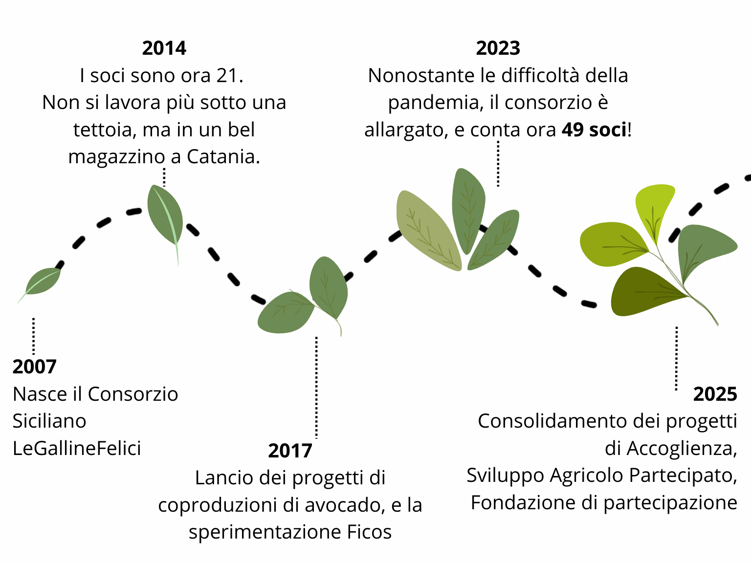 Odoo • Immagine e testo