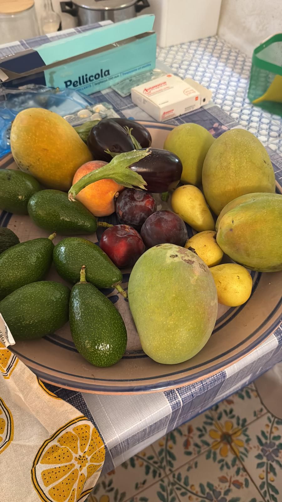 Immagine diapositiva