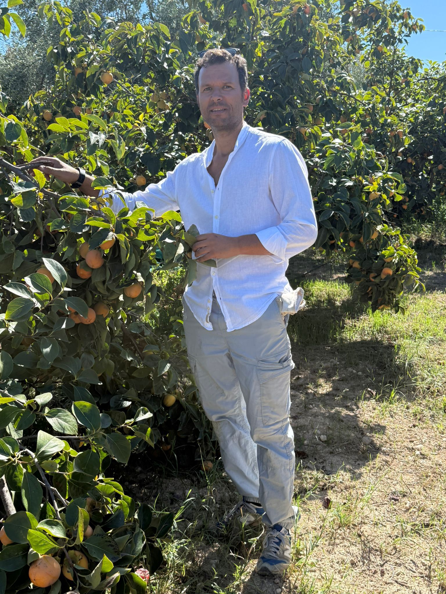 Immagine diapositiva