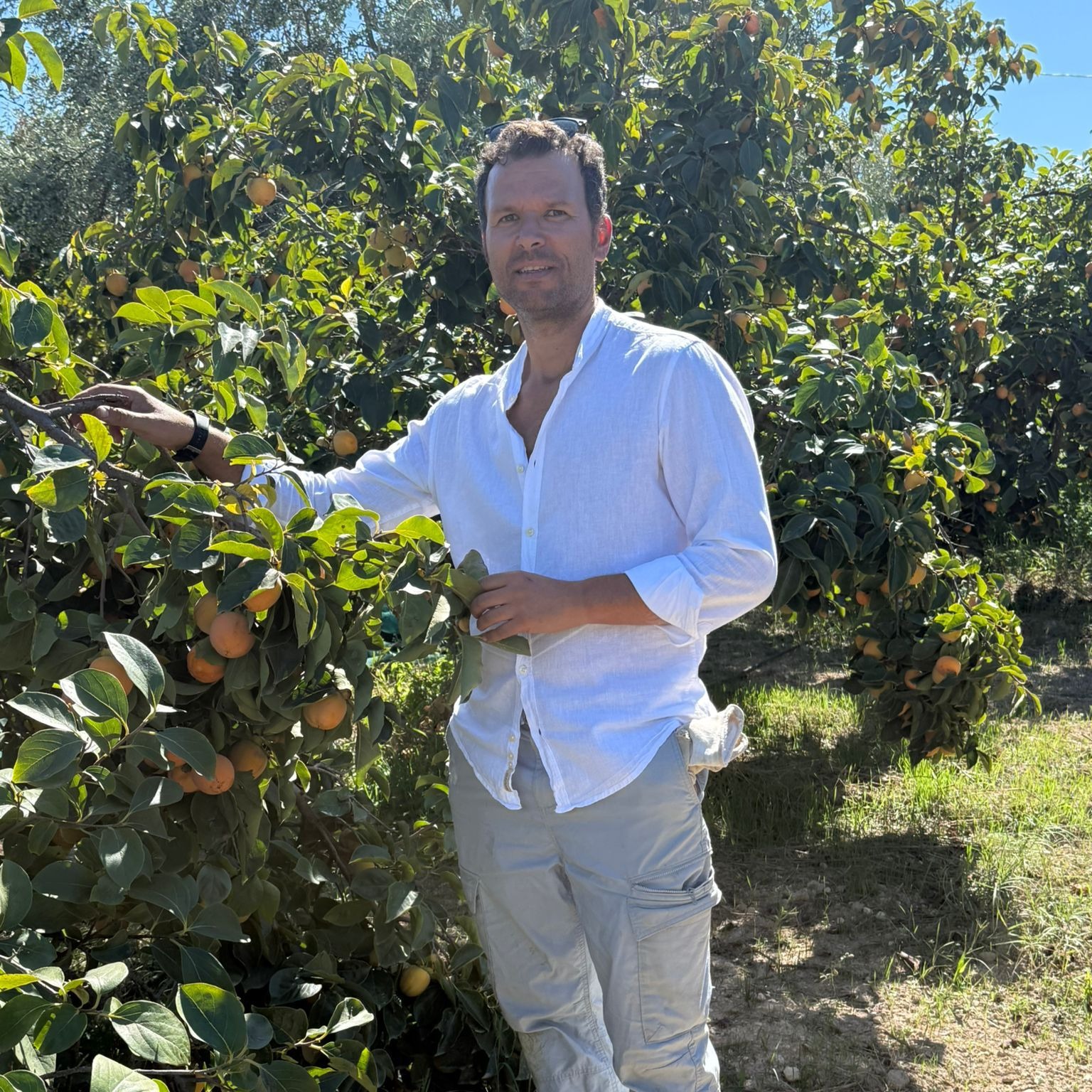 Odoo • Testo e immagine