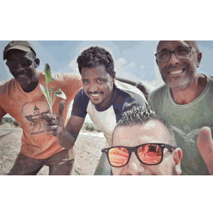 Odoo • Immagine e testo