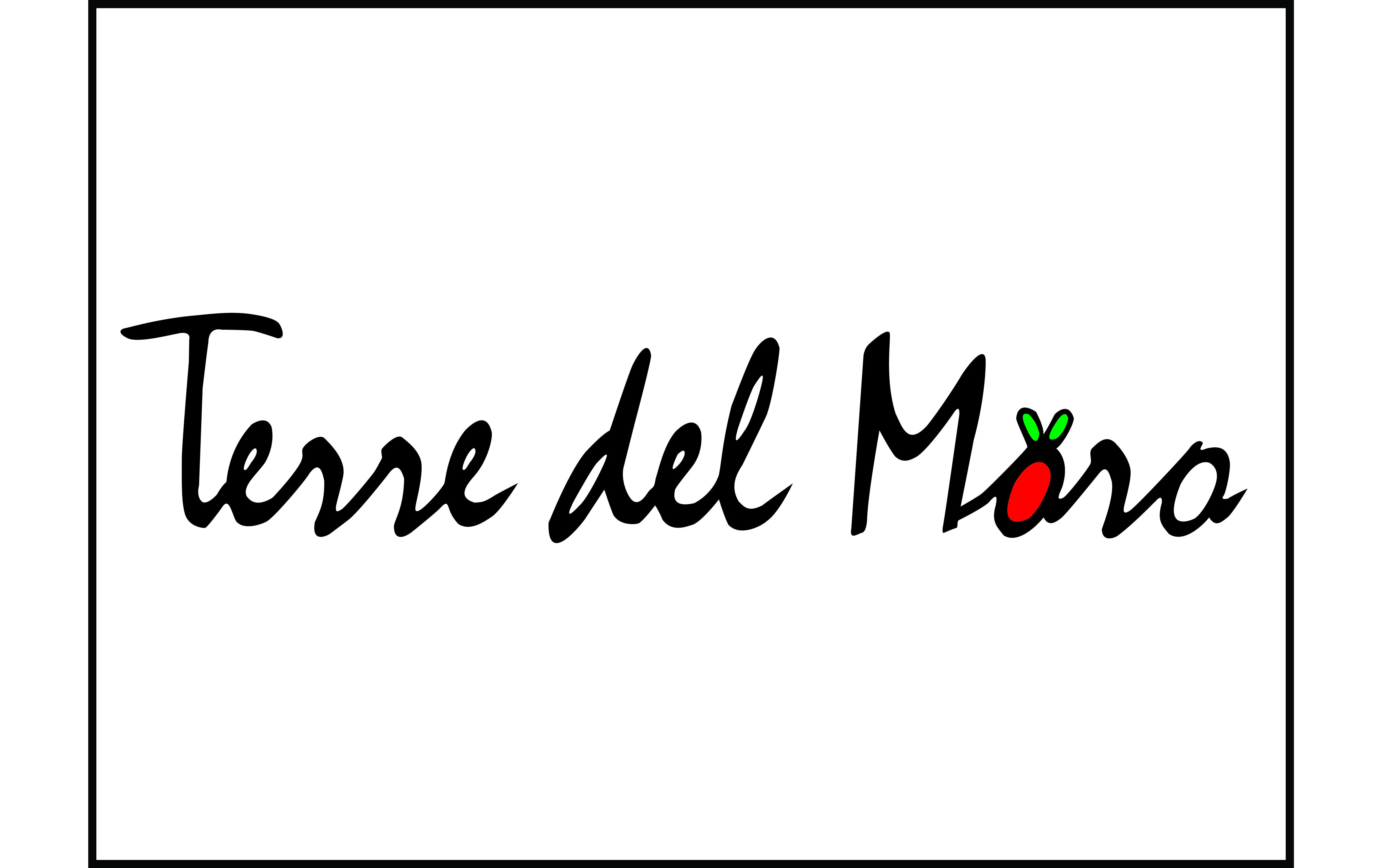 Odoo • Testo e immagine