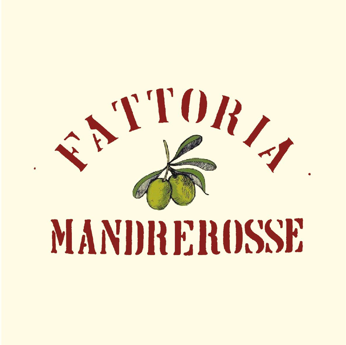 Odoo • Testo e immagine