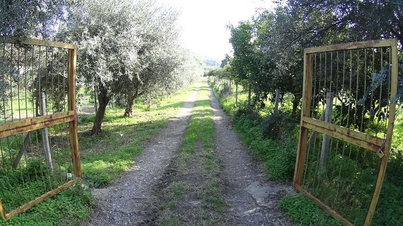 Immagine diapositiva