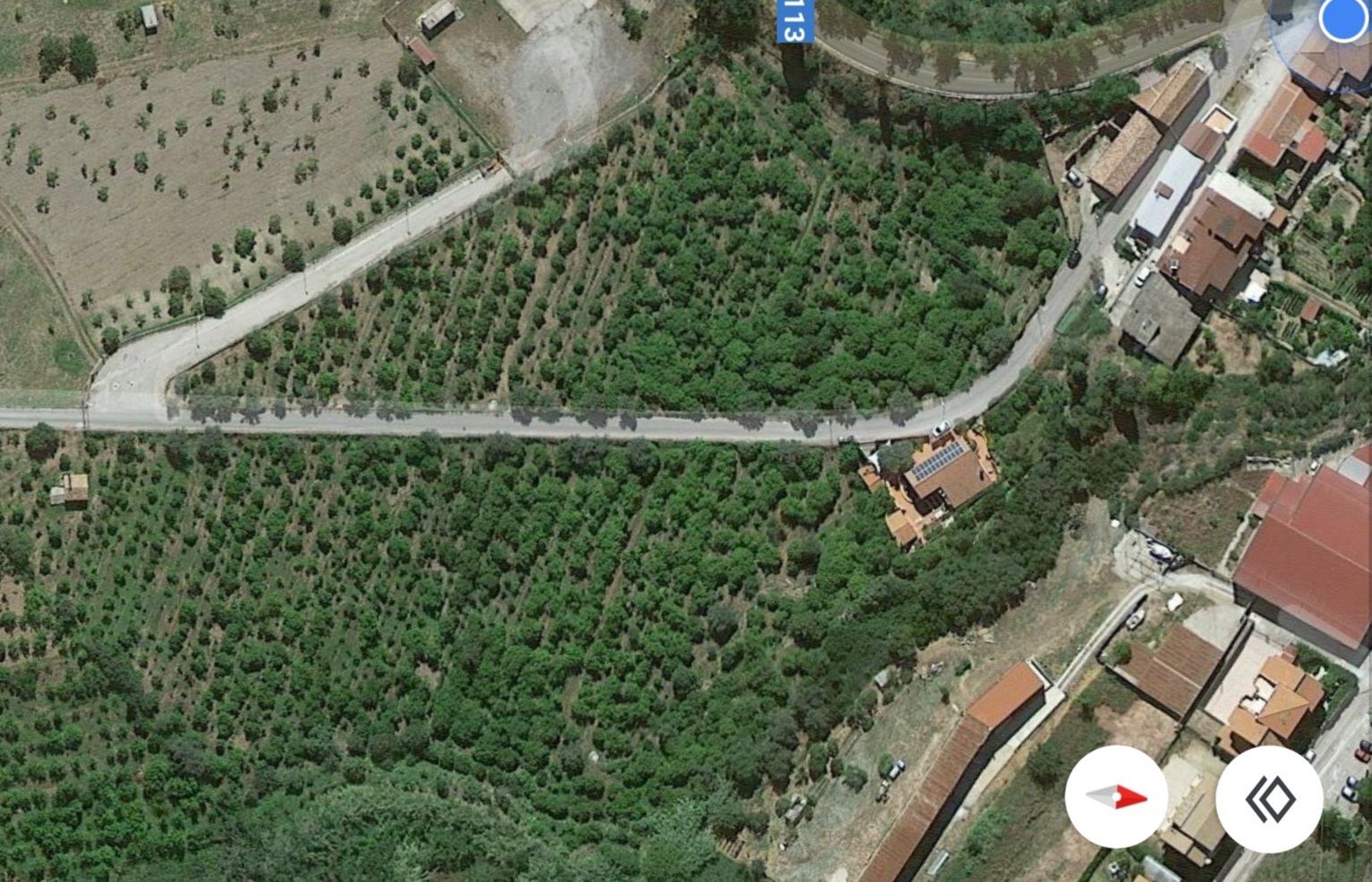 Immagine diapositiva