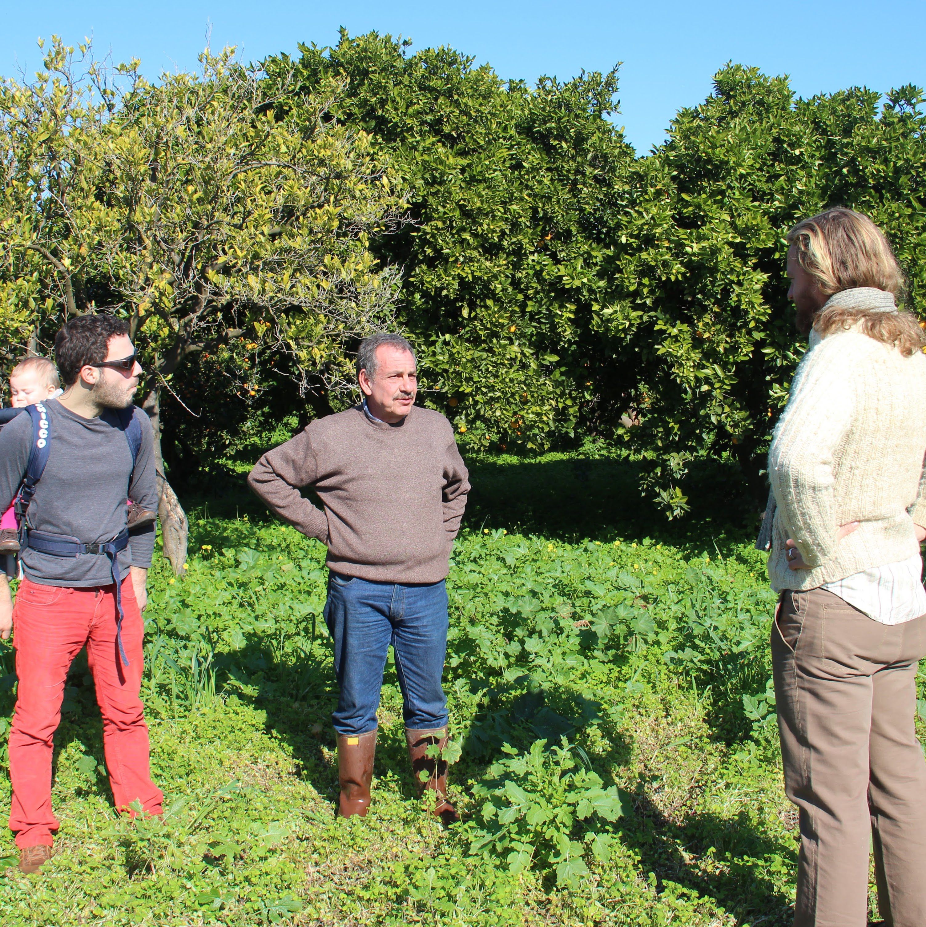 Team dell'azienda