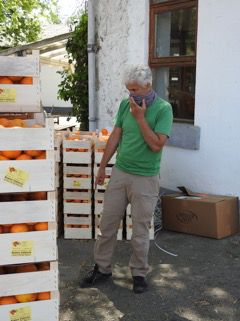 Immagine diapositiva