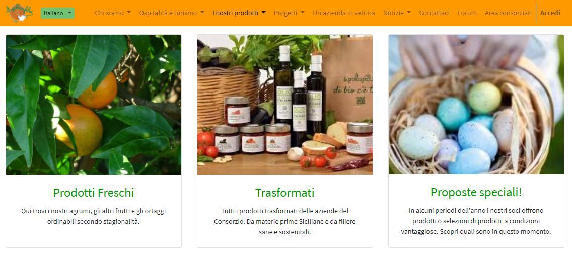 Odoo • Testo e immagine