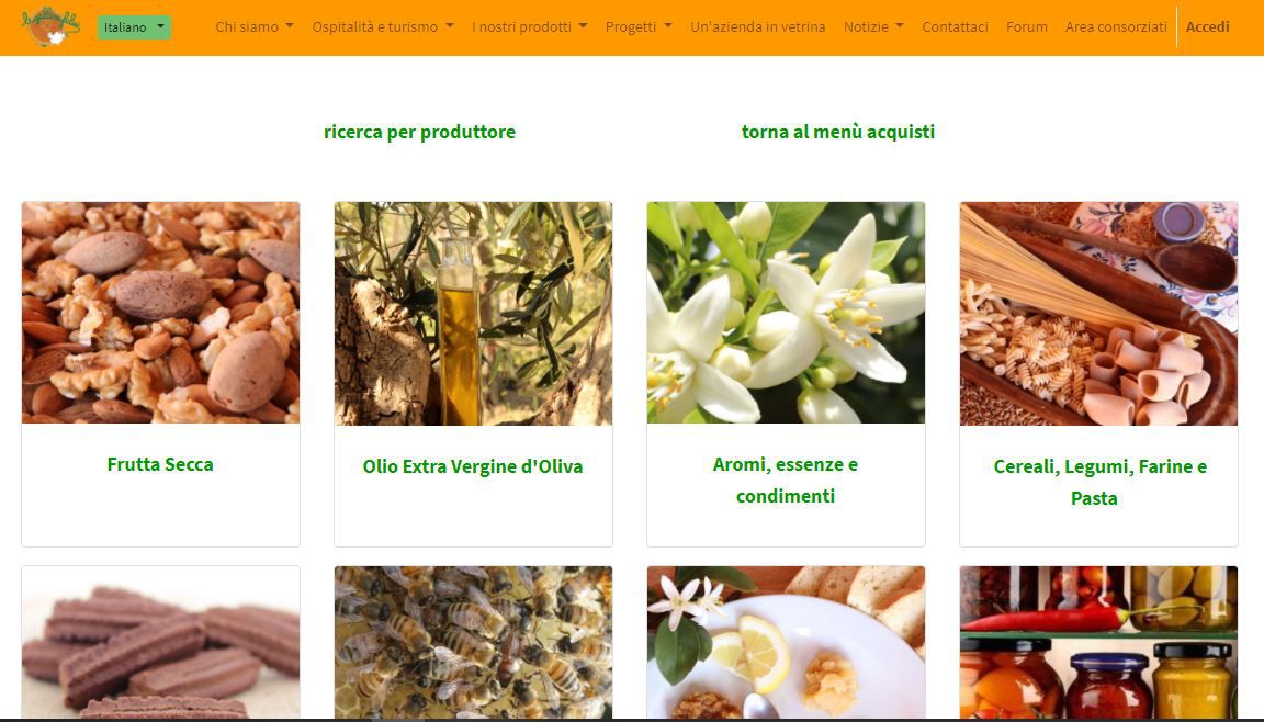 Odoo • Testo e immagine