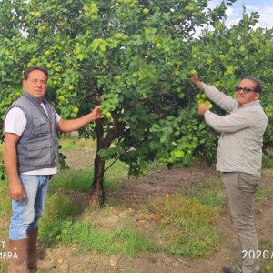 Odoo • Immagine e testo
