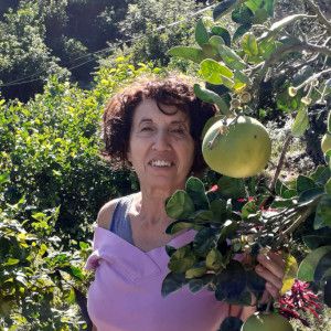 Odoo • Immagine e testo