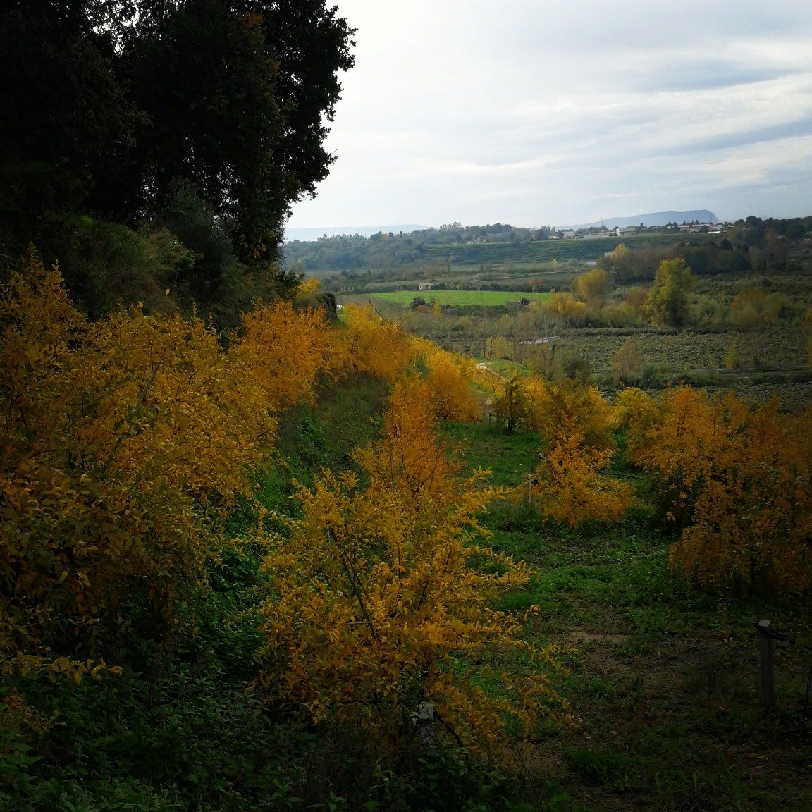 Immagine diapositiva