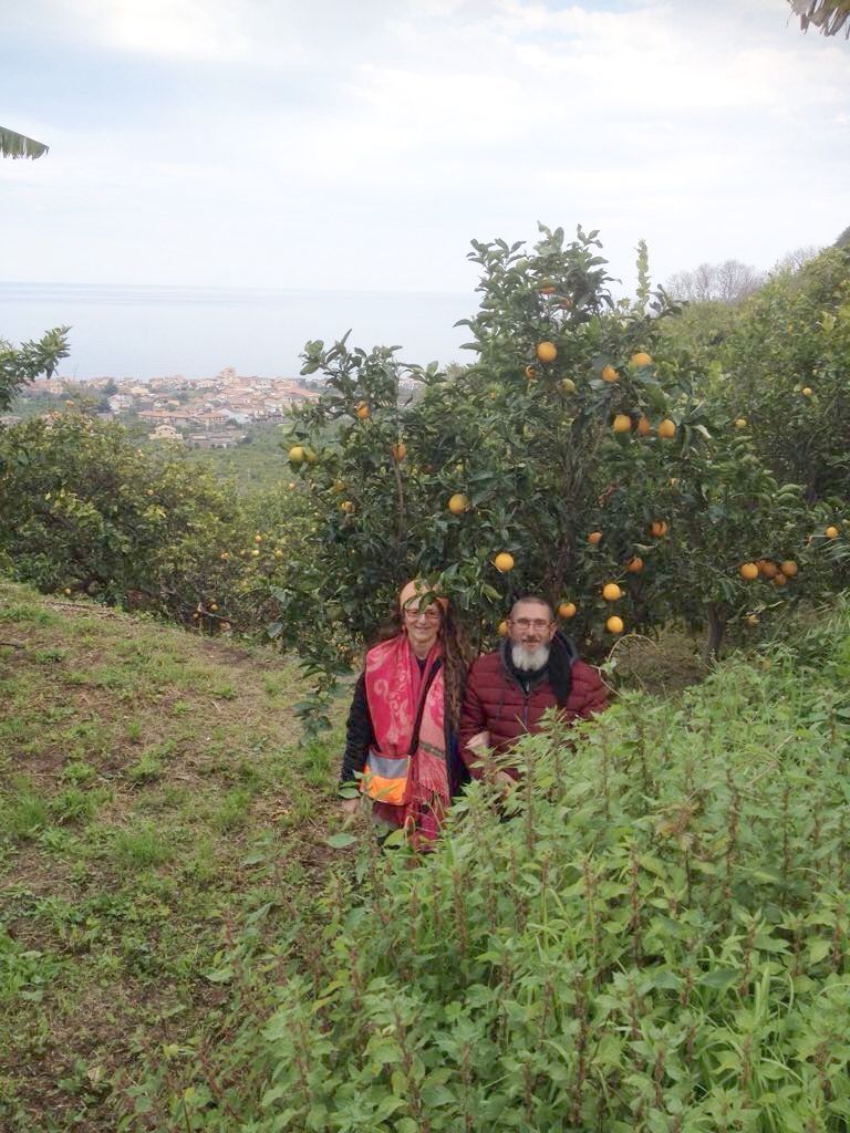 Immagine diapositiva