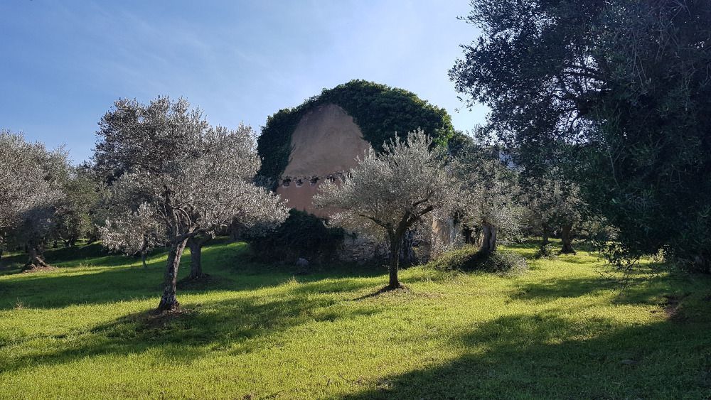 Immagine diapositiva