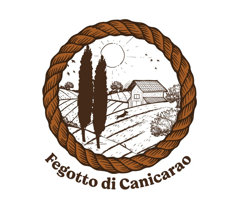 Odoo • Testo e immagine