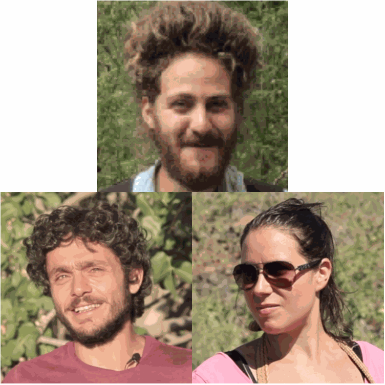 Odoo • Immagine e testo
