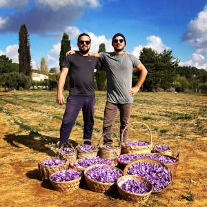 Odoo • Immagine e testo